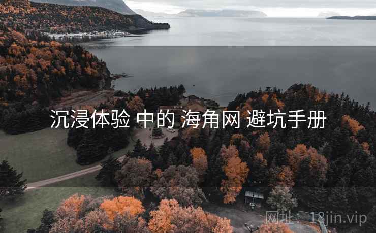沉浸体验 中的 海角网 避坑手册  第2张
