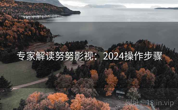 专家解读努努影视:2024操作步骤 第1张 专家解读努努影视:2024操作步骤 第1张