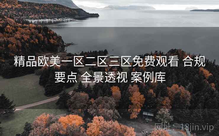 精品欧美一区二区三区免费观看 合规要点 全景透视 案例库  第2张